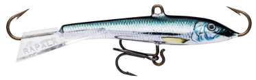 live-herring
